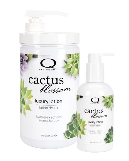 Qtica Cactus-Blossom Massage Luxury Lotion 241gr-960gr